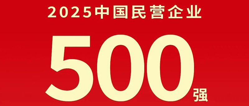 刚刚！2025中国民营企业500强发布，淮海控股集团位列第485位！